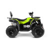 PROGASI Race Jumper 200 Forest Green