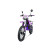 PROGASI Super Max 250 RR Purple