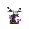 PROGASI Super Max 250 RR Purple