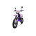 PROGASI Super Max 250 SM Purple