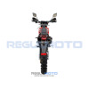 Regulmoto Sport-003 PR 300 с ПТС