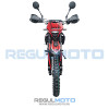 Regulmoto Sport-003 PR PRO 300 с ПТС