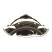 STAREZZI MX-29 Black White