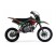 TMBK PITSTER SP2 125 Red Green